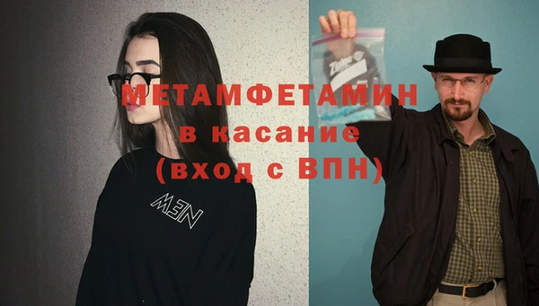 индика Нязепетровск