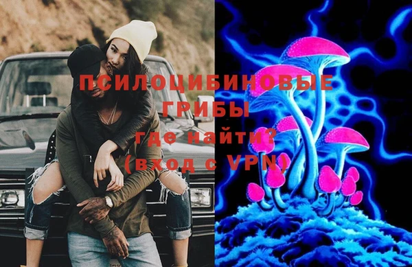бошки Богородск