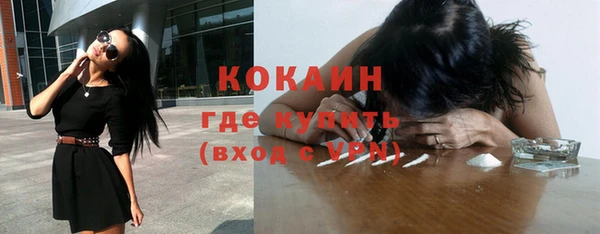 шишки Верея