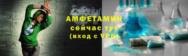 шишки Верея