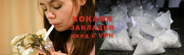 винт Богданович