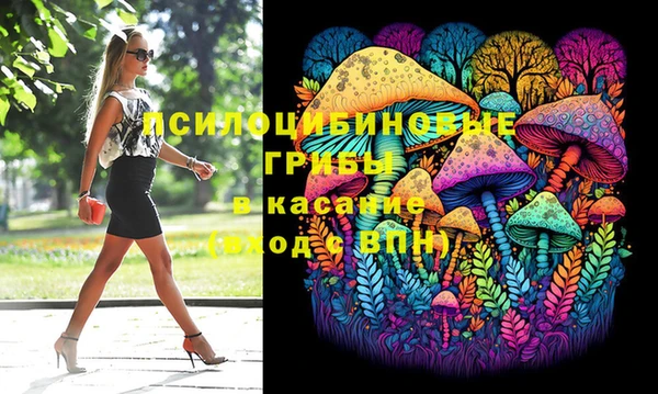 бошки Богородск
