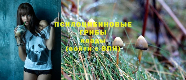 шишки Верея