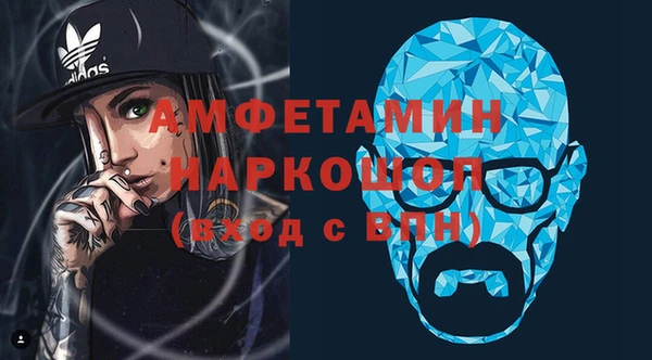 шишки Верея